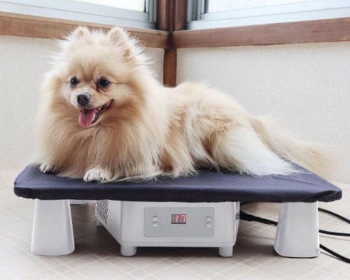 Animal Cooling-Heating Mat Stand