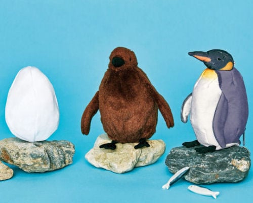 King Penguin Life Development Stages Plush Toy