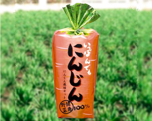 Ippon Demo Ninjin Carrot