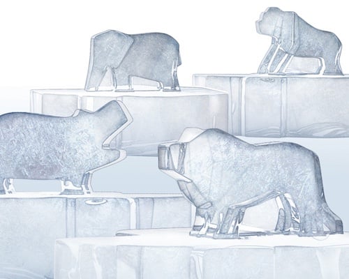 Savannah Ice Endangered Animal Molds