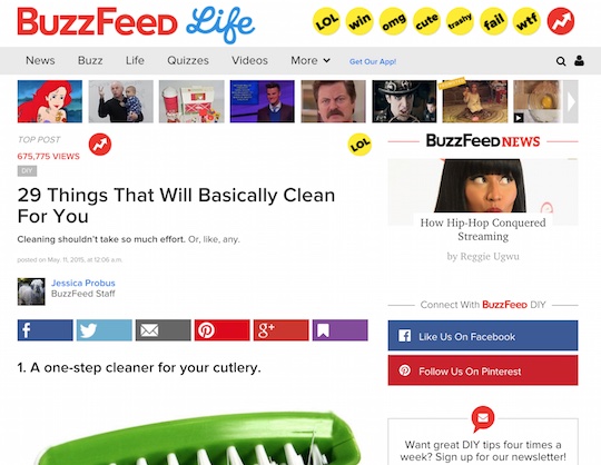 buzz feed cleaning
