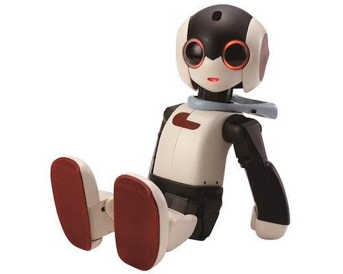 Robi Robot (Pre-assembled Version)