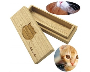 Cat Whiskers Case