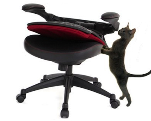 Norenya Isu Anti-Cat Chair