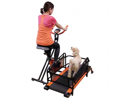 Doggy Health Run Pet Owner Exercise Treadmill