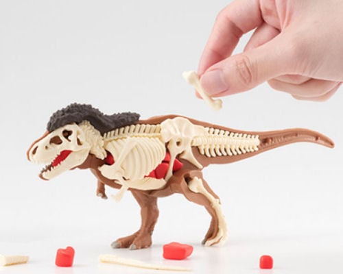 3D Tyrannosaurus Dissection Puzzle