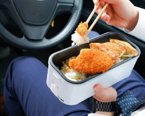 Thanko Car Rice Cooker and Lunch Box