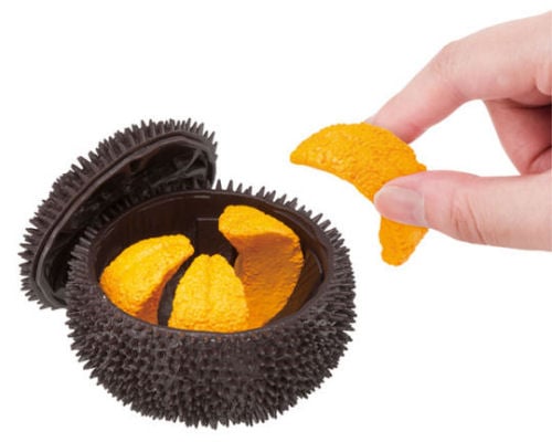 3D Sea Urchin Dissection Puzzle