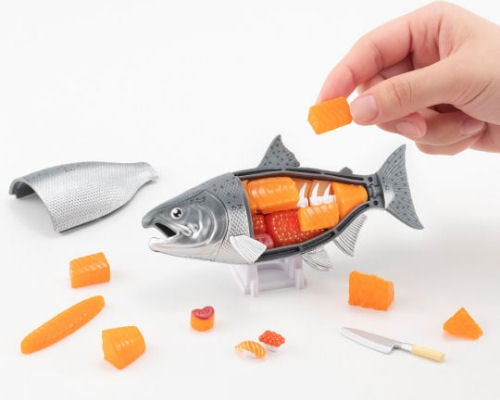 3D King Salmon Dissection Puzzle