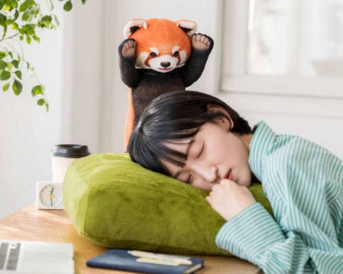 Threatening Red Panda Cushion