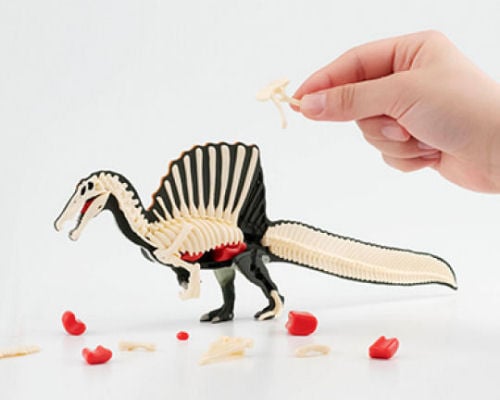 3D Spinosaurus Dissection Puzzle