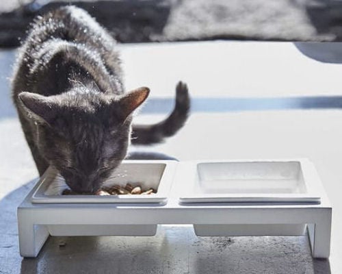 Elevated Pet Food Tray