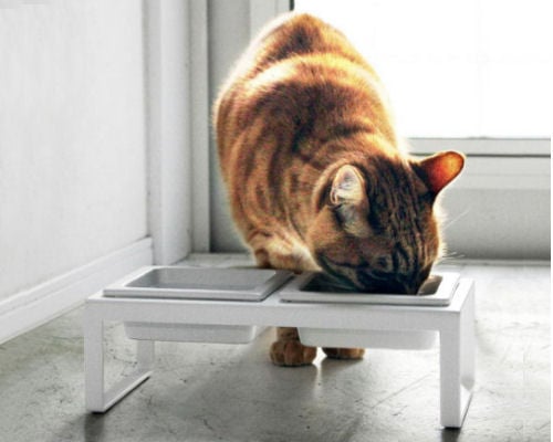 Elevated Pet Food Tray Tall