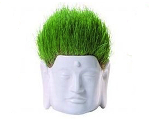 Buddha Hair Salon Flower Pot