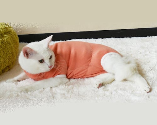 Egree Cat Pajama Suit
