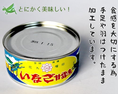 Canned Inago Grasshopper in Soy Sauce