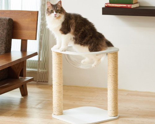 Clear Capsule Cat Scratching Post
