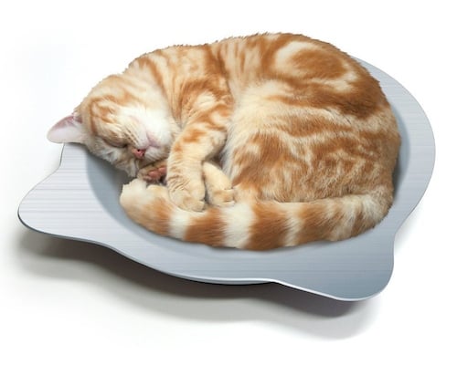 Cat Cool Pot Bed