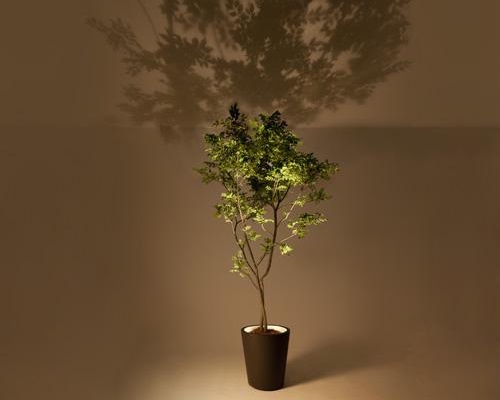 Forestarium Lamp