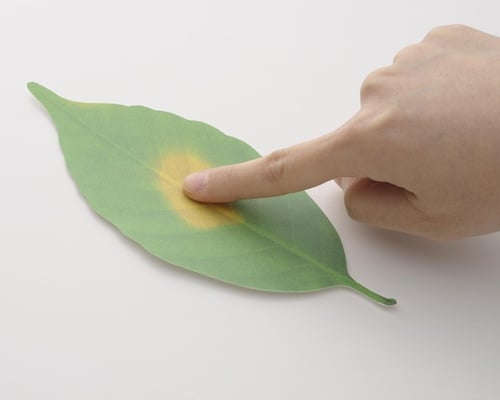 Leaf Thermometer paper temperature reader
