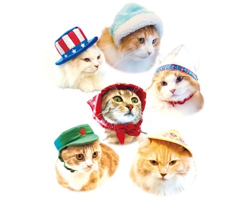Necos Cat Hats World Traveler (8 Pack)