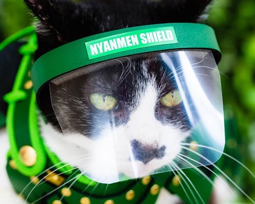 Nyanmen Cat Face Shield