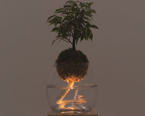 Torch Plant Light Botanical Candle