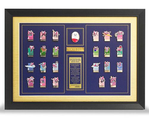 Tokyo 2020 Paralympics Someity Sports Framed Pins Set