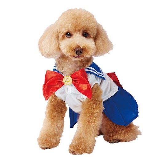 Sailor Moon Sailor Soldier Dog Outfits
