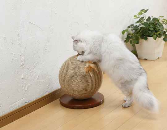 Bonbi Arkon Cat Scratching Ball