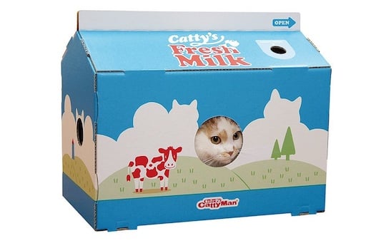 Cat Milk Carton Scratch Box