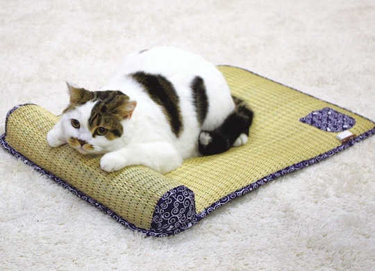 Tatami Cat Bed