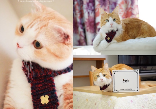 Neko Muffler Knitted Cat Scarf