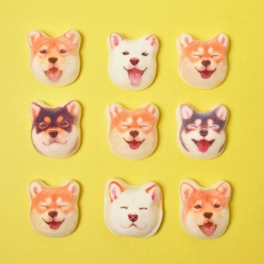 Shiba Inu Dog Marshmallows