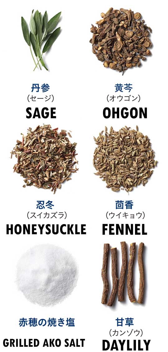 Shio to Shoyaku Salt and Crude Drug Medicinal Toothpaste