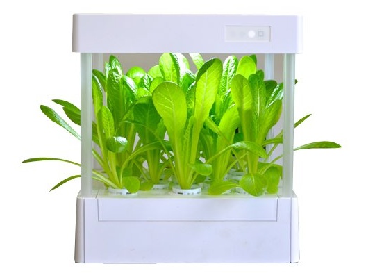 ItPlanter Hydroponic Grow Box