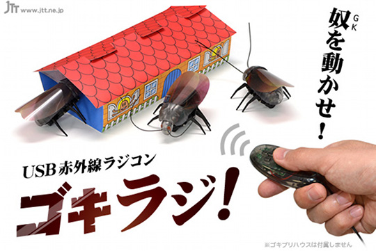 Gokiraji Remote Control Cockroach