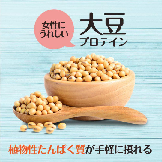 Kelloggs Soybean Protein Granola