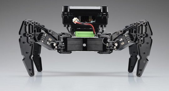Kondo Quadruped Robot KMR-P4