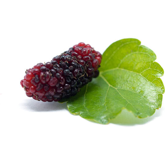 Manda Koso Mulberry Health Supplement Paste