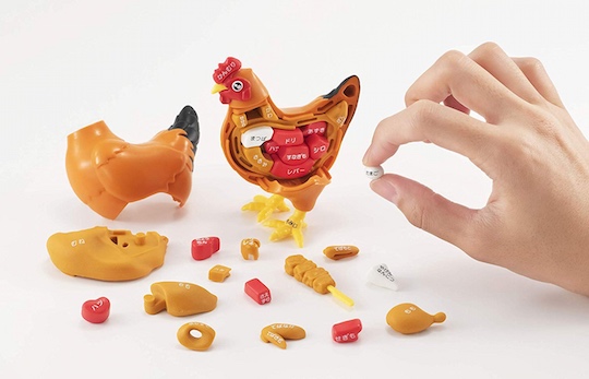 megahouse dissection food animal puzzle toy japanese cooking