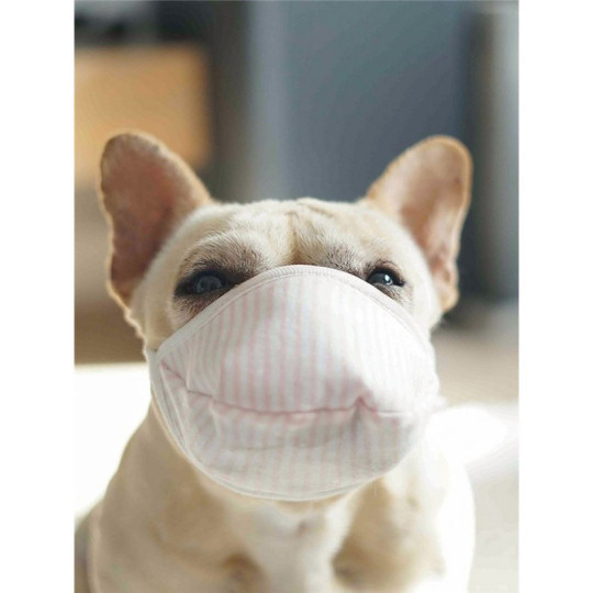 Wan-chan Dog Face Mask