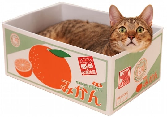 Satsuma Fruit Box Cat Bed