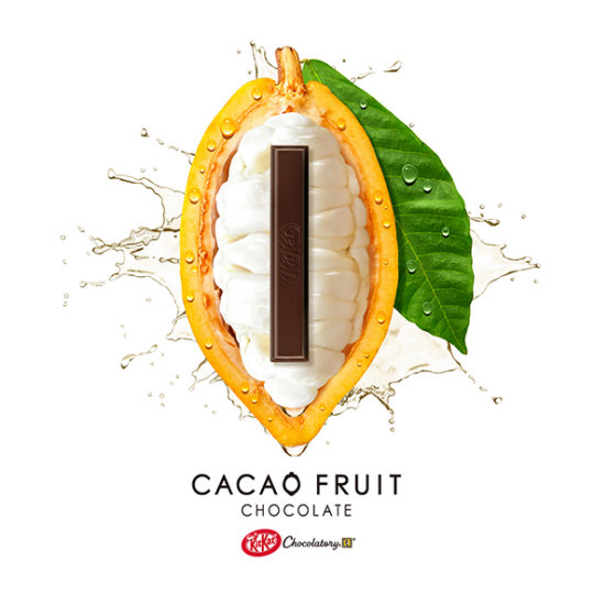 Kit Kat Cacao Fruit Chocolate Set
