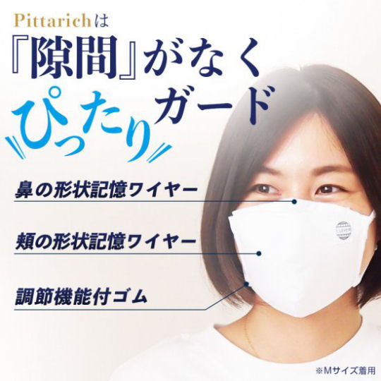 Pittarich High-Performance PM 2.5 Face Mask