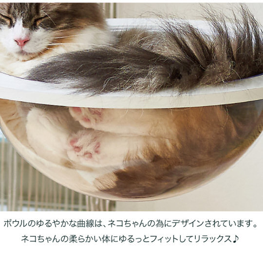 Clear Capsule Cat Cylinder