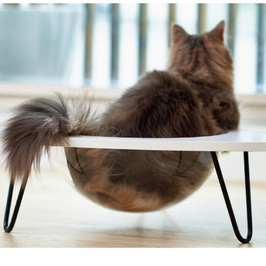Clear Capsule Table Cat Bed