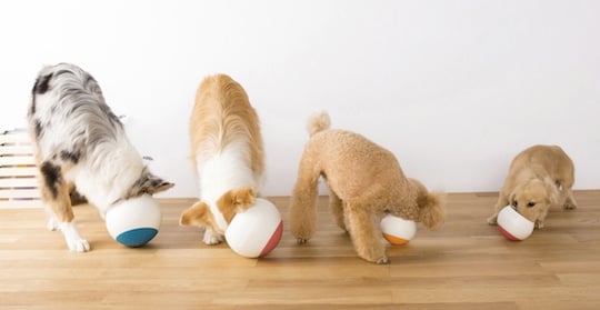 Oppo Food Ball for Dogs
