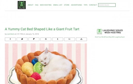 laughing squid fruit tart cat bed