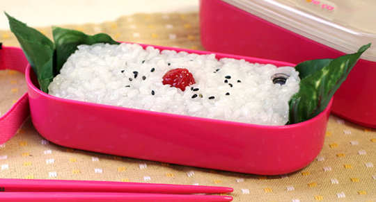 Japanese Food iPhone Cover - Rice, noodles, shrimp iPhone 4 case - Japan Trend Shop